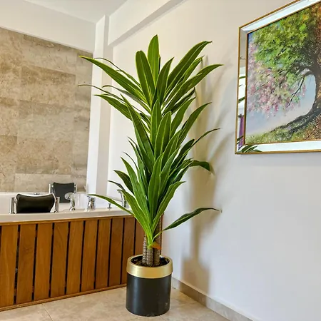 Star Villa, Oezel Havuzlu,